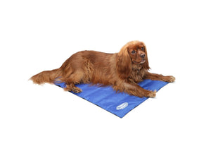 Scruffs Cool Dog Mat - Medium - Shopivet.com