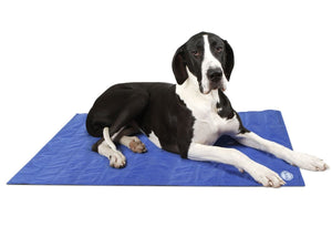 Scruffs Cool Dog Mat - X - Large - Shopivet.com