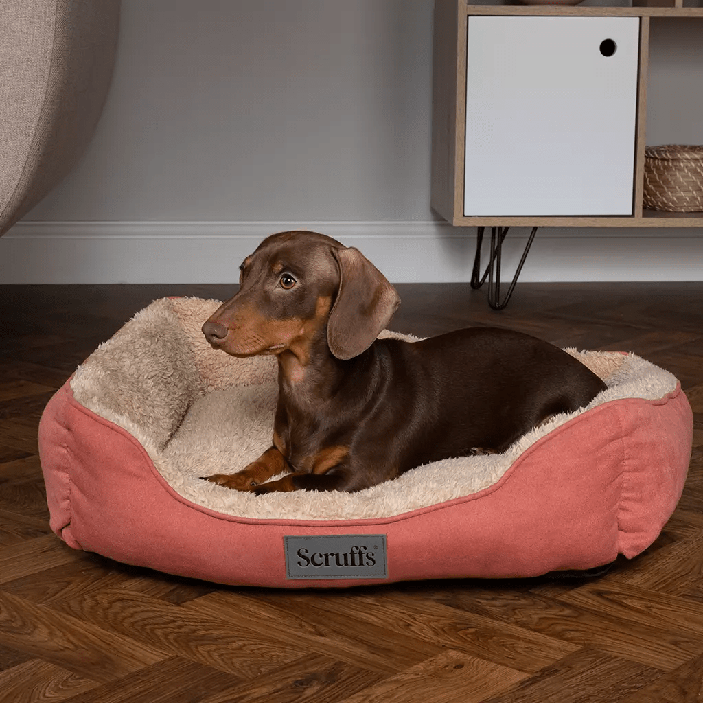 Scruffs Cosy Box Dog Bed - Medium - Shopivet.com