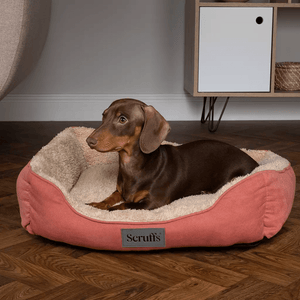Scruffs Cosy Box Dog Bed - Medium - Shopivet.com