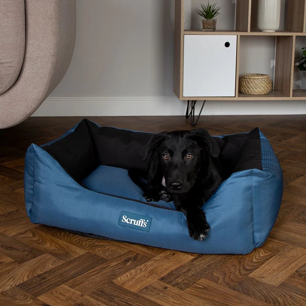 Scruffs Expedition Box Dog Bed - Atlantic Blue X - Large - Shopivet.com