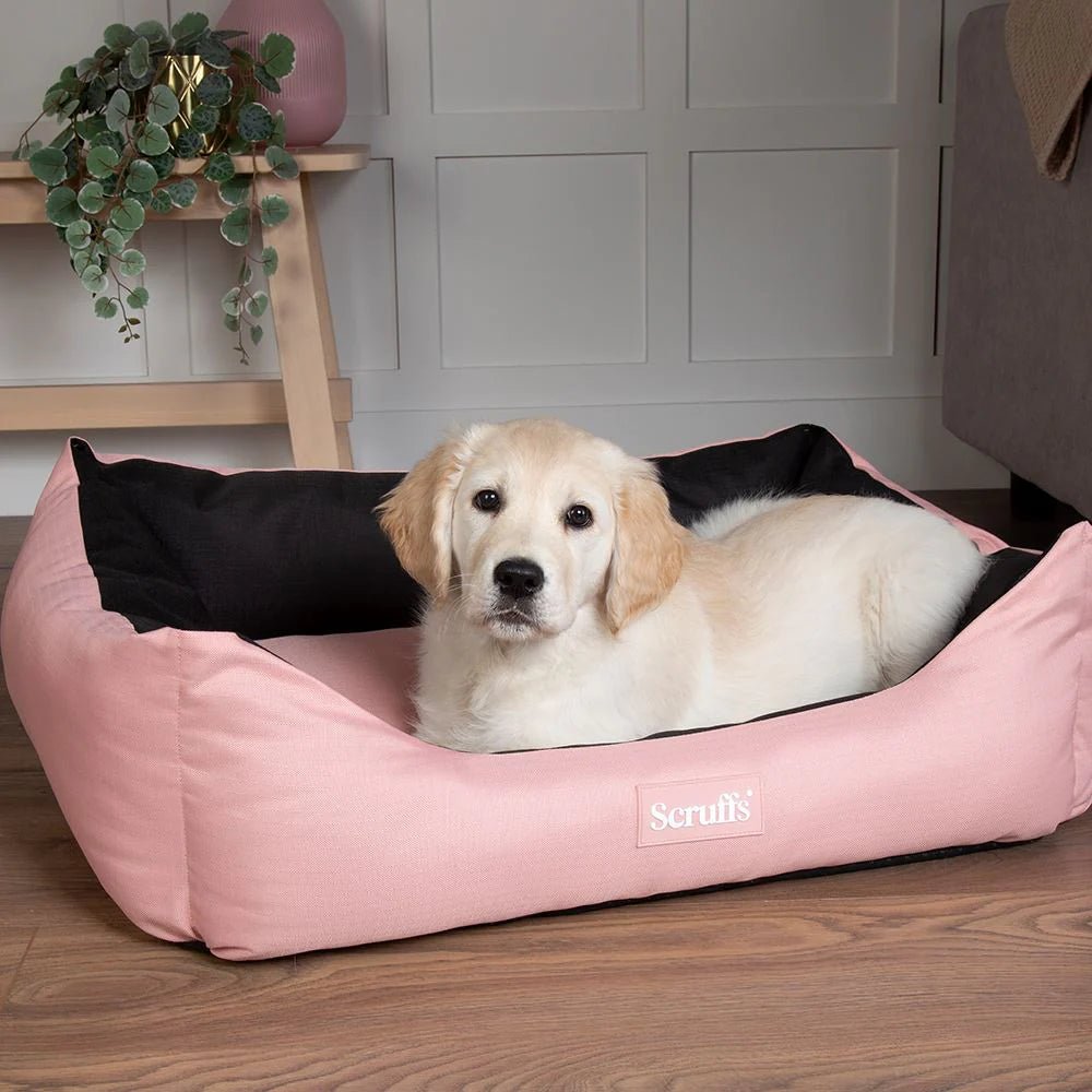 Scruffs Expedition Box Dog Bed - Rose Quartz Medium - Shopivet.com