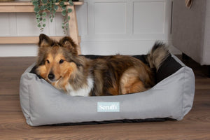 Scruffs Expedition Box Dog Bed - Storm Grey Medium - Shopivet.com