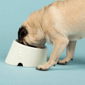 Scruffs Icon Flat Faced Dog Bowl 18cm - Cream - Shopivet.com