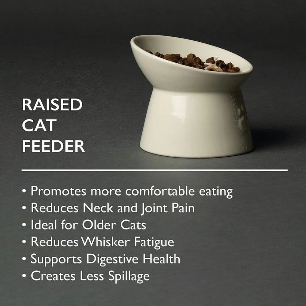 Scruffs Icon Raised Feeder Cat Bowl - 12cm - Shopivet.com