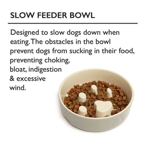 Scruffs Icon Slow Feeder Cream Pet Bowl 20cm - Cream 20cm - Shopivet.com