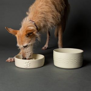 Scruffs Icon Slow Feeder Cream Pet Bowl 20cm - Cream 20cm - Shopivet.com