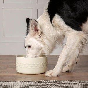 Scruffs Icon Water Dog Bowl - Cream 20cm - Shopivet.com