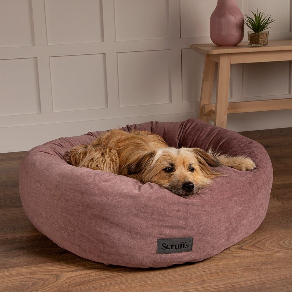 Scruffs Oslo Donut Dog Bed - Blush Pink Medium - Shopivet.com