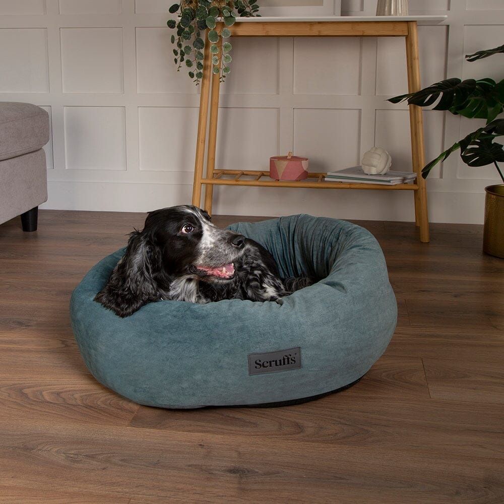 Scruffs Oslo Donut Dog Bed - Lake Teal Medium - Shopivet.com