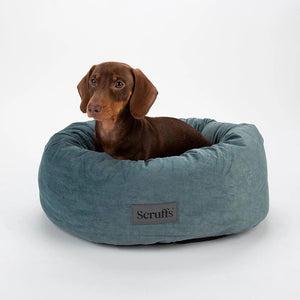 Scruffs Oslo Donut Dog Bed - Lake Teal Medium - Shopivet.com