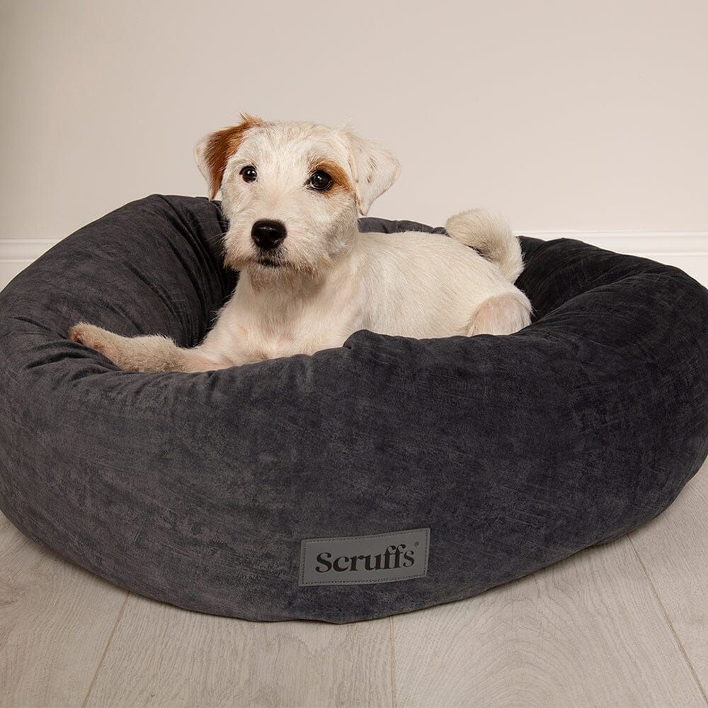 Scruffs Oslo Donut Dog Bed - Stone Grey Medium - Shopivet.com