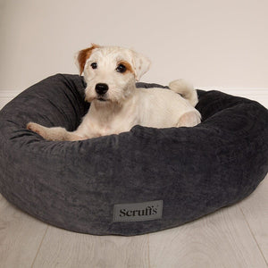 Scruffs Oslo Donut Dog Bed - Stone Grey Medium - Shopivet.com