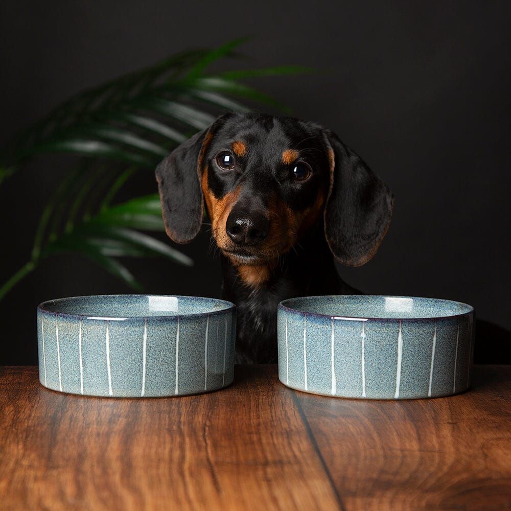 Scruffs Reactive Glaze Dog Bowl - Midnight Blue 15cm - Shopivet.com