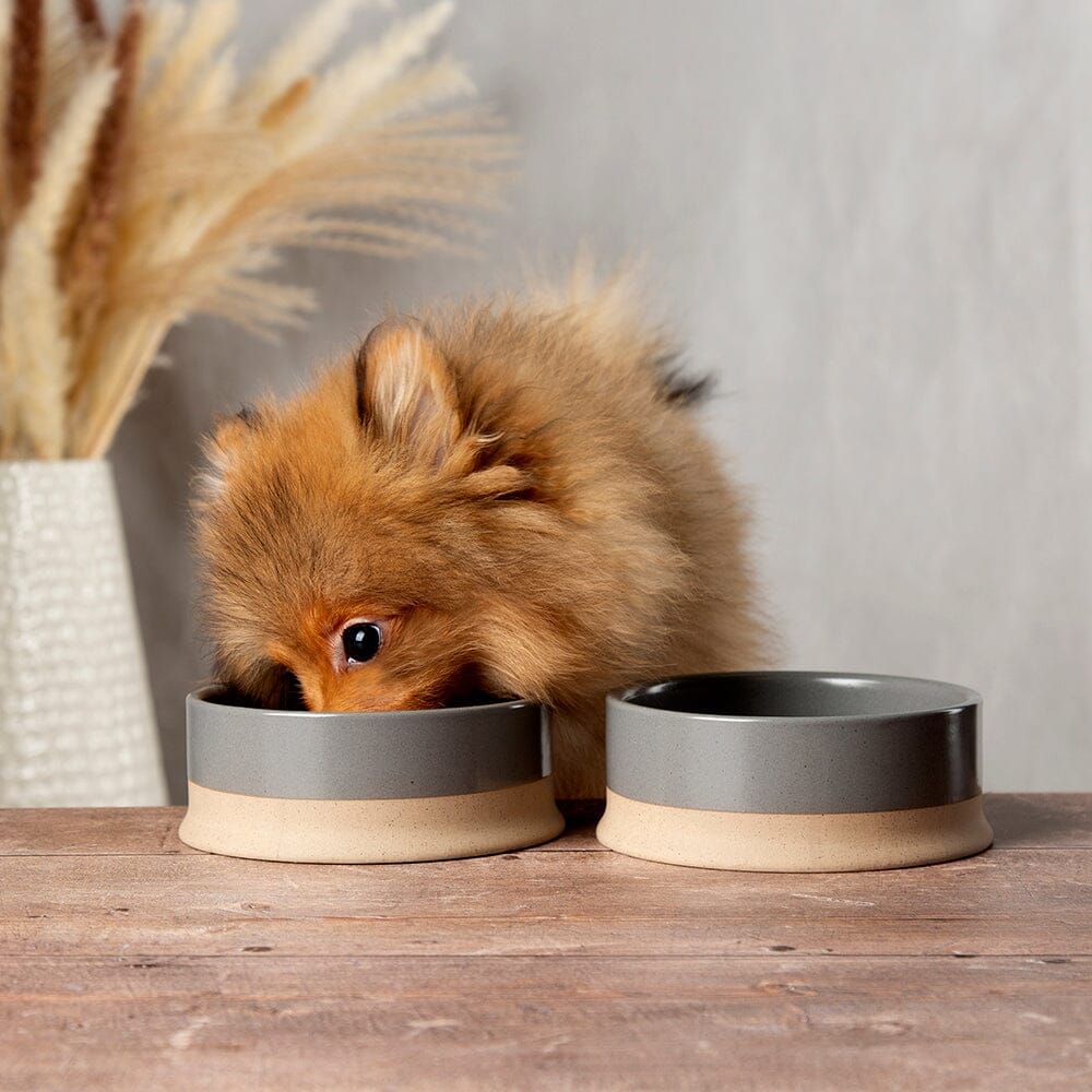 Scruffs Scandi Non - Tip Dog Bowl - Grey 16cm - Shopivet.com