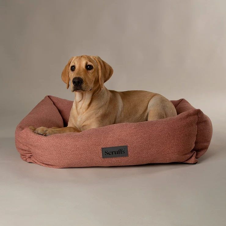 Scruffs Seattle Box Dog Bed - Coral Pink Medium - Shopivet.com