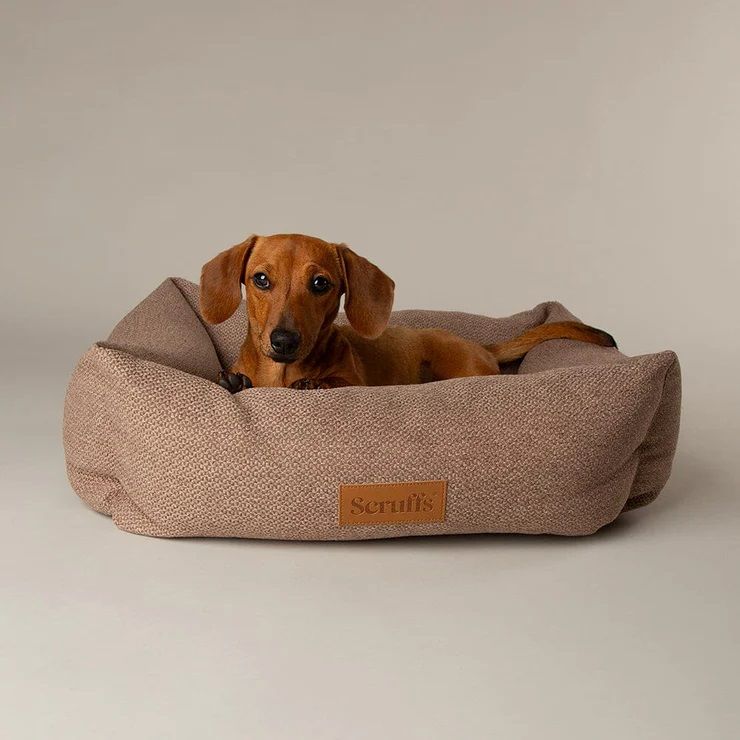 Scruffs Seattle Box Dog Bed - Sienna Brown Medium - Shopivet.com