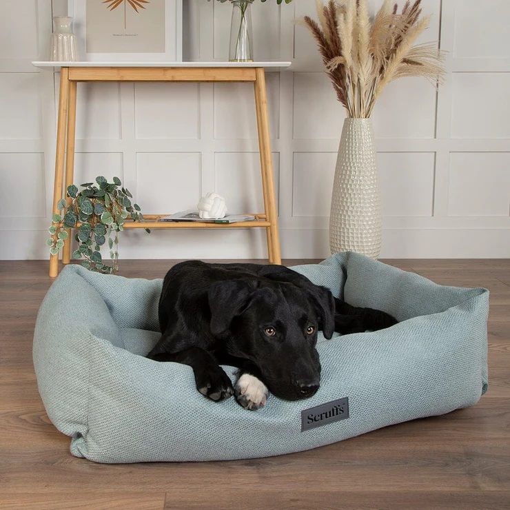 Scruffs Seattle Box Dog Bed - Topaz Green Medium - Shopivet.com
