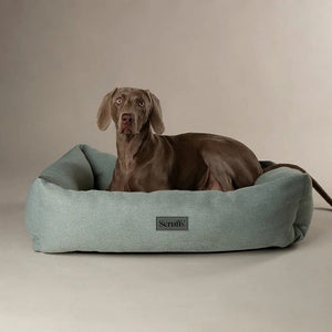 Scruffs Seattle Box Dog Bed - Topaz Green Medium - Shopivet.com