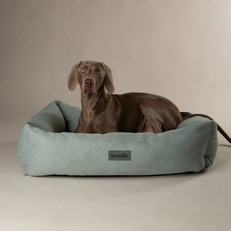 Scruffs Seattle Box Dog Bed - Topaz Green Medium - Shopivet.com
