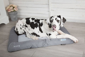 Scruffs Self - Cooling Dog Bed - LARGE - Shopivet.com