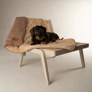 Scruffs Snuggle Dog Blanket - Caramel Brown - Shopivet.com
