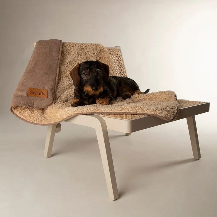 Scruffs Snuggle Dog Blanket - Caramel Brown - Shopivet.com