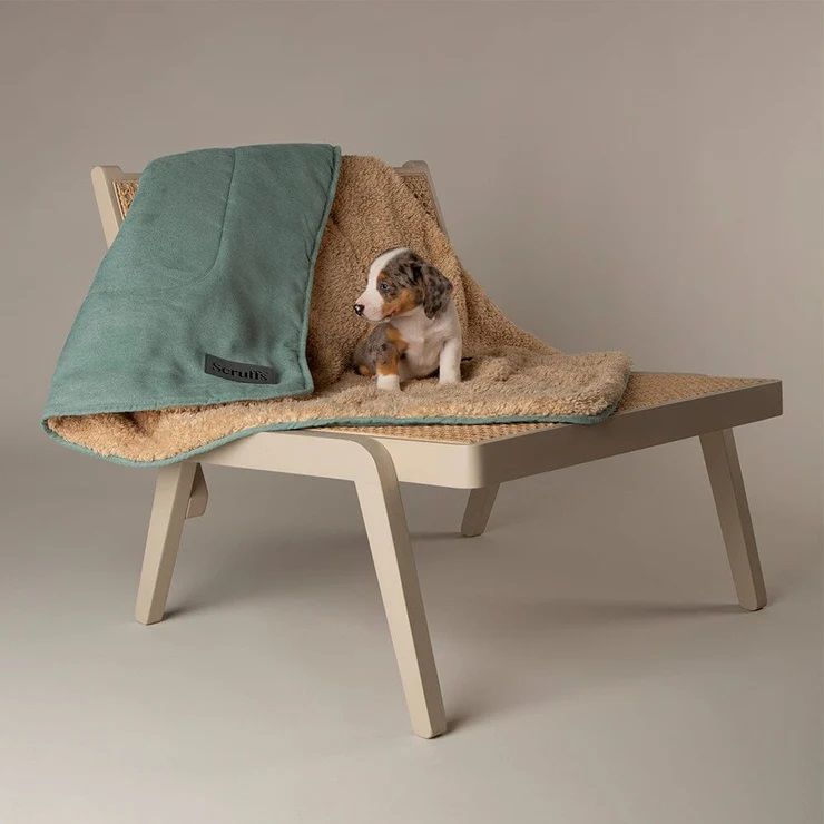 Scruffs Snuggle Dog Blanket - Sage Green - Shopivet.com
