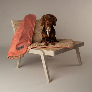 Scruffs Snuggle Dog Blanket - Terracotta - Shopivet.com