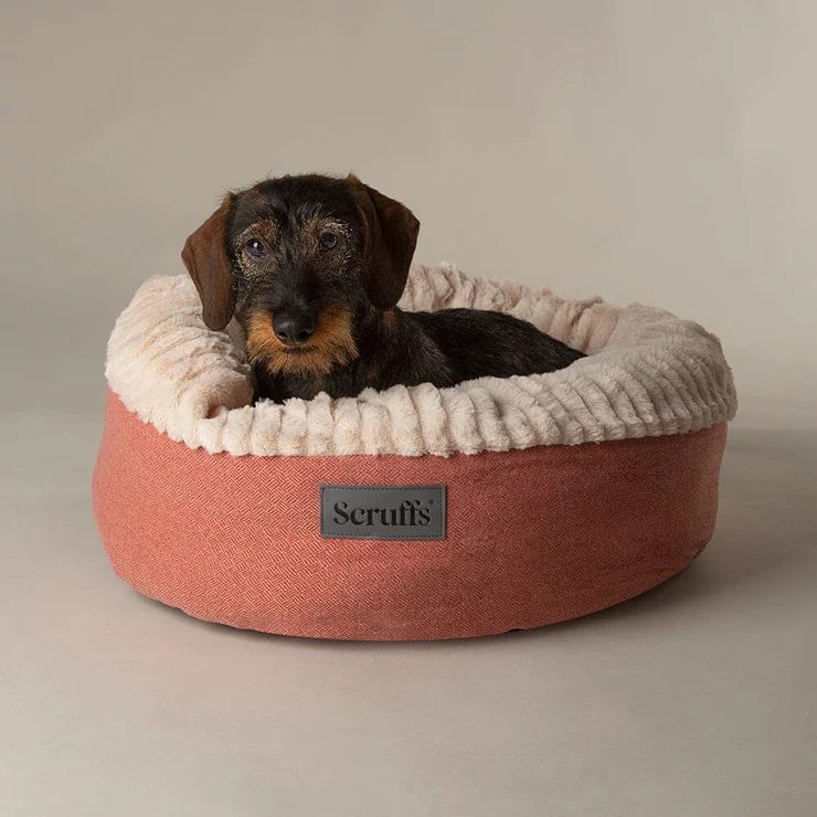 Scruffs Ellen Donut Dog Bed - Pink Medium