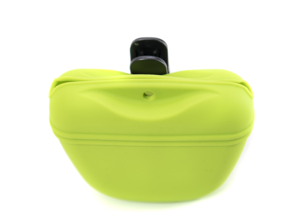 Silicon Treat Bag