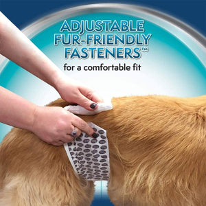 Simple Solution Disposable Male Dog Wraps - M - Shopivet.com