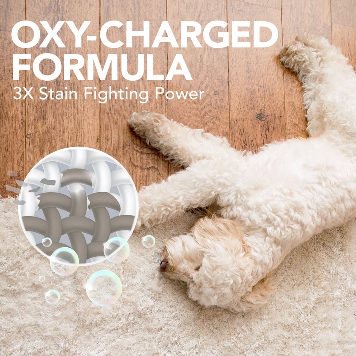 Simple Solution Oxy Charged Pet Stain and Odor Remover – 945ml - Shopivet.com