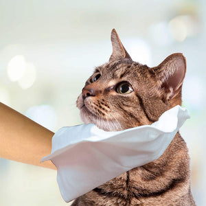 Simple Solution Pet Bath Hand Mitts 7 handwipes 17cmx28cm - Shopivet.com