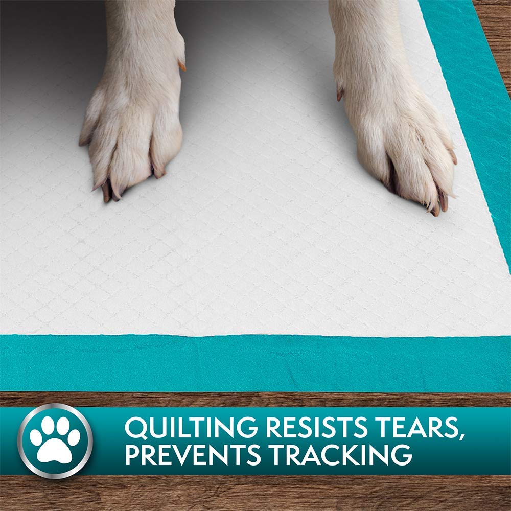 Simple Solution Premium Dog and Puppy Training Pads (Pack of 100) - Shopivet.com