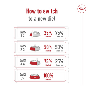 Size Health Nutrition Giant Adult 15 KG