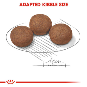 Size Health Nutrition Medium Puppy 10 KG