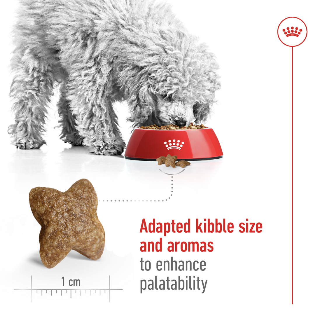 Size Health Nutrition Mini Adult 2 KG