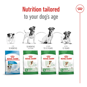 Size Health Nutrition Mini Adult 8+ 2 KG