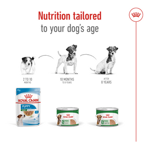 Size Health Nutrition Mini Adult (Wet Food - Can) 12 x 195 g