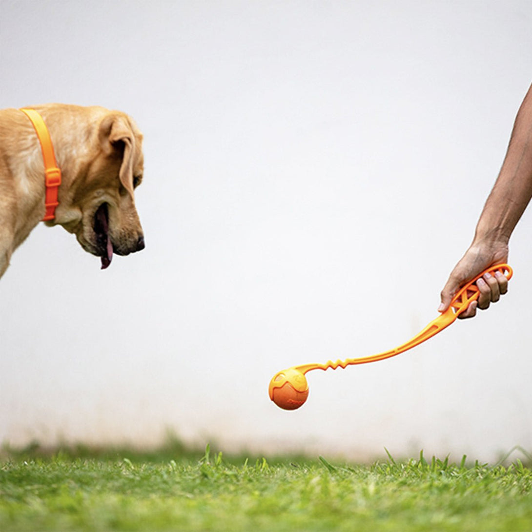 SKIPDAWG Dog Ball Launcher 18″ (Medium) - Shopivet.com