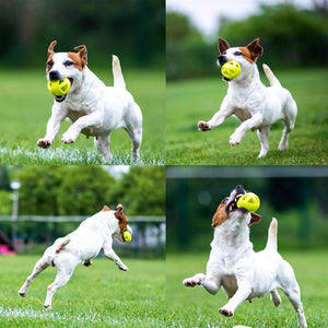 SKIPDAWG Dog Breezy Ball Pack of 2 (Medium) - Shopivet.com