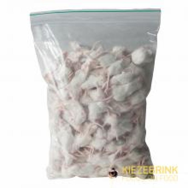 Small White Commercial Mice 10-20g - 1kg pack - Shopivet.com