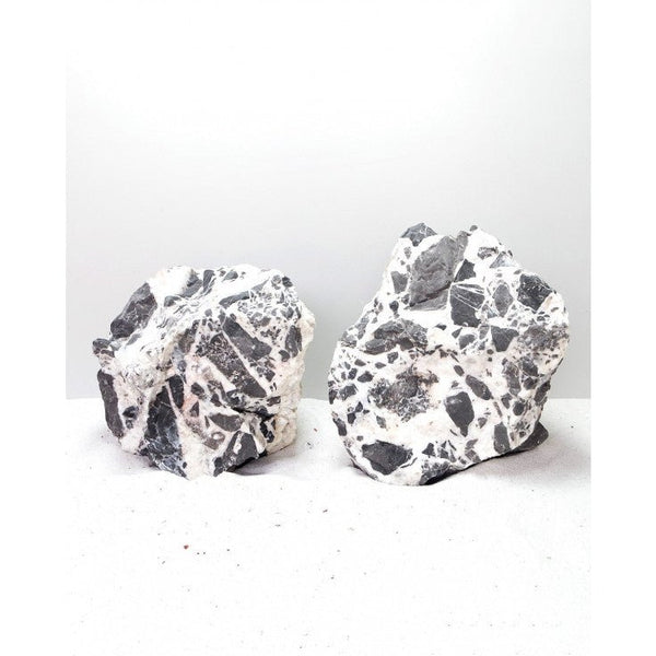 SNOW FLAKE ROCK - MEDIUM / 18-23CM / BOX - Shopivet.com