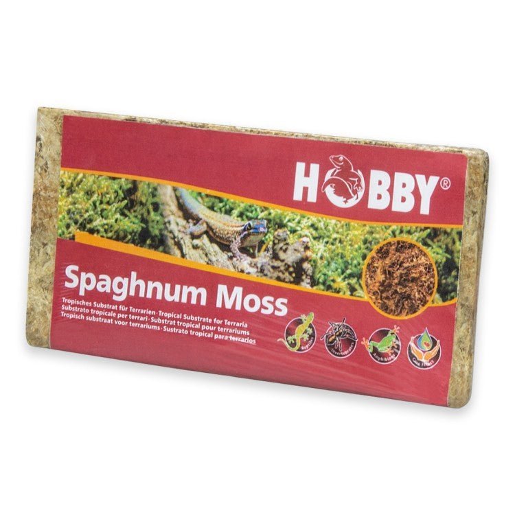 Spaghnum Moss 100g - Shopivet.com