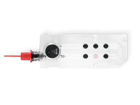 Standard Reference Cassette 2 (Src2) - Shopivet.com