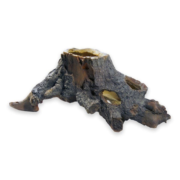 Stump Cavity 2 - Shopivet.com