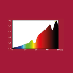 Sunlight ECO 42W - Shopivet.com