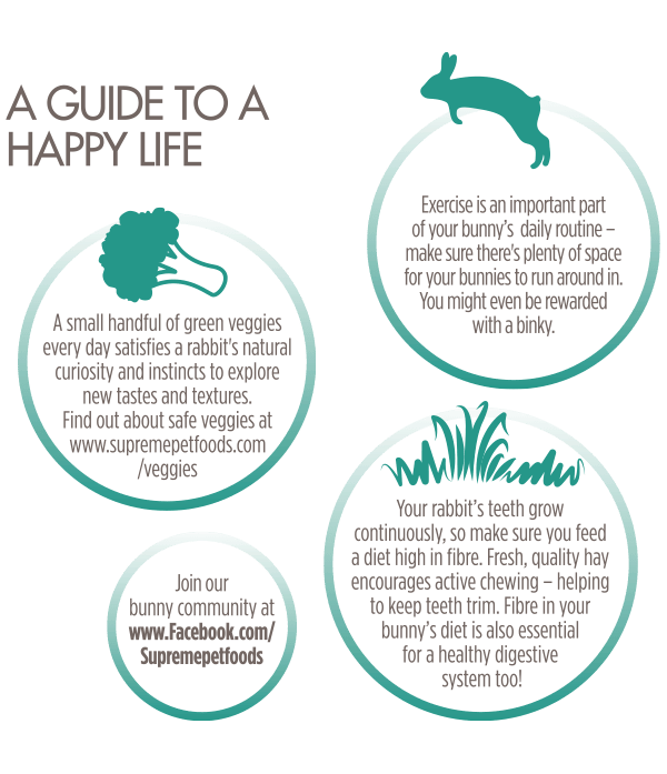 Supreme Science Selective Adult Rabbit Food 1.8kg - 1.8KG - Shopivet.com