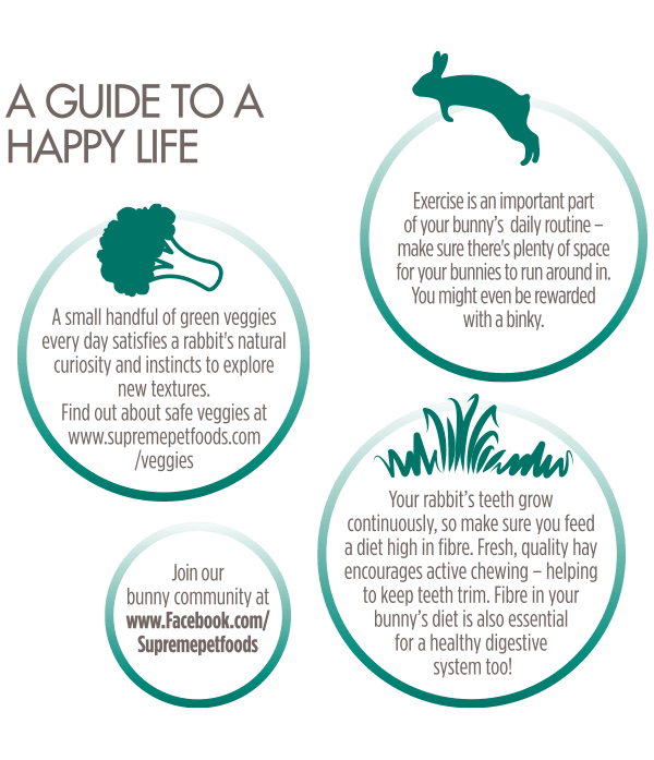 Supreme Selective 4+ Rabbit Food 2kg - 2KG - Shopivet.com